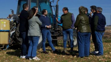 El presidente del PP en Castilla-La Mancha, Paco Núñez PP 02/2/2024