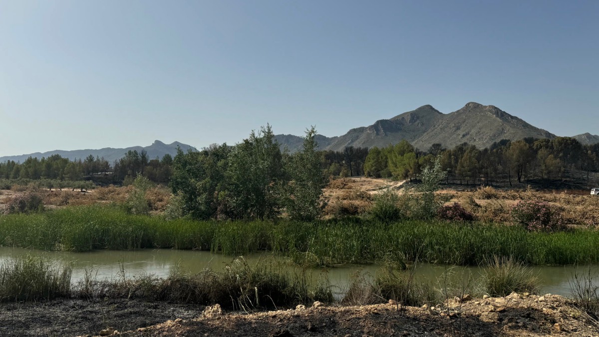 HELLÍN (ALBACETE), 20/07/2024.- El Plan Infocam de Castilla-La Mancha ha dado por estabilizado el incendio forestal que se declaró en la tarde de este viernes en Hellín (Albacete) y que ha afectado a unas cien hectáreas de bosque de pino carrasco. Fuentes del Plan Infocam han informado a EFE de que el incendio, detectado a las 16.39 horas por un vigilante fijo en la zona de la presa de la Cayetana, en la entidad menor de Mingogil, en el término municipal de Hellín (Albacete), ha quedado estabilizado sobre las 23.00 horas de este viernes. E