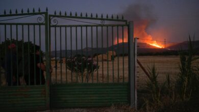 24/07/2024.- Imagen del incendio forestal que se ha declarado este miércoles en Argamasilla de Calatrava (Ciudad Real), lleva quemadas unas 400 hectáreas de terreno y sigue sin estar controlado. EFE/Jesús Monroy.