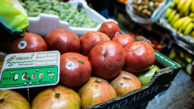 TOLEDO, 15/10/2024.- Precio de unos tomates en una frutería de Toledo este martes. Los precios han bajado en Castilla-La Mancha un 0,5 por ciento en septiembre en comparación con agosto, con una caída del 4 % en los precios del ocio y la cultura, mientras que en los últimos doce meses, los precios han subido un 1,2 %.