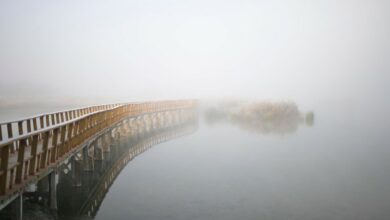 Tablas de Daimiel (Ciudad Real), 29 dic (EFE).- Ecologistas en Acción ha valorado positivamente la utilización de los pozos de emergencia como una medida "paliativa y coyuntural", ante la situación actual del Parque Nacional de Las Tablas de Daimiel (Ciudad Real), que deja el gran humedal manchego con apenas 60 hectáreas inundadas de las 1.734 hectáreas que son susceptibles de estarlo, lo que supone a penas el 3% de la superficie total. EFE/ Jesus Monroy