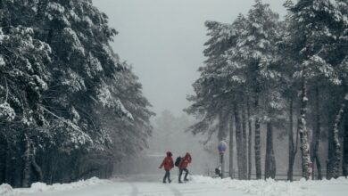 MANZANEDA (OURENSE, GALICIA), 27/01/2025.- Dos personas caminan por la nieve este lunes, en la estación de Montaña de Manzaneda (Ourense). Un fallecido por accidente de tráfico este lunes en Amoeiro (Ourense) que la Xunta achaca a la borrasca, lluvias, nevadas, fuertes vientos y fenómenos costeros de gran impacto son algunos de los efectos de Herminia, que sigue afectando a casi toda España y especialmente a Galicia, salvo a Navarra, Melilla y Canarias. Galicia, que se mantiene con aviso rojo, el riesgo más elevado de la Agencia Estatal de Meteorología (Aemet), es la comunidad autónoma que soporta el impacto más fuerte de la borrasca, mientras que Andalucía, Aragón, Asturias, Castilla-La Mancha, Murcia, País Vasco y Comunidad Valenciana están en alerta naranja y Baleares, Castilla y León, Cataluña, Extremadura, Madrid, La Rioja y Ceuta se mantienen en alerta amarilla. EFE/ Brais Lorenzo