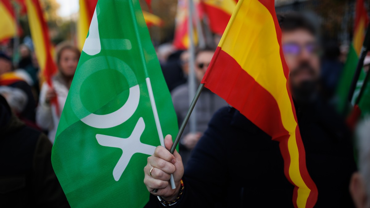 (Foto de ARCHIVO) Varios manifestantes, con banderas de Vox y España, durante la protesta por la derogación del delito de sedición del Código Penal, a 27 de noviembre de 2022, en Madrid (España). El líder del partido ha llamado a apoyar manifestaciones en Barcelona y en Madrid y otros lugares de España, y además ha anunciado un recurso de inconstitucionalidad si prospera el cambio legislativo y también ha instado a los populares a promover una moción de censura contra Pedro Sánchez para disolver el Parlamento y convocar elecciones generales anticipadas. Alejandro Martínez Vélez / Europa Press 27 NOVIEMBRE 2022;VOX;PROTESTA;CONCENTRACIÓN;DERECHA;BANDEROLA VOX; 27/11/2022